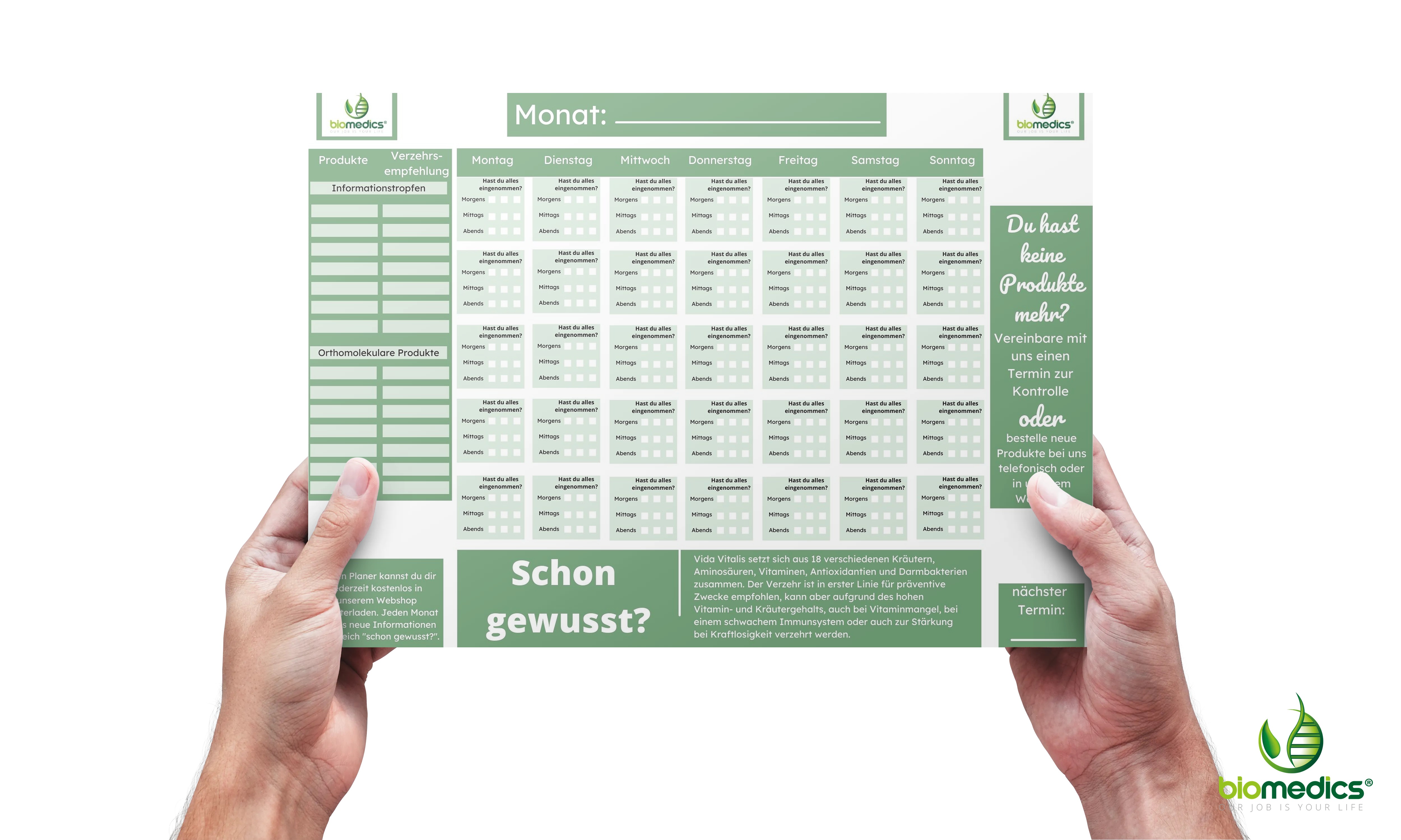 Einnahmeplan